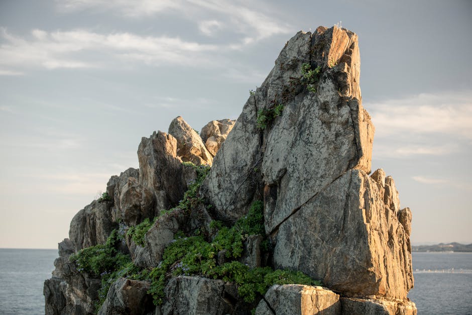 WHO South-East Asia marks 15 years since the last case of wild poliovirus; polio legacy continues to drive broader public health gains – World Health Organization (WHO): What You Need To Know