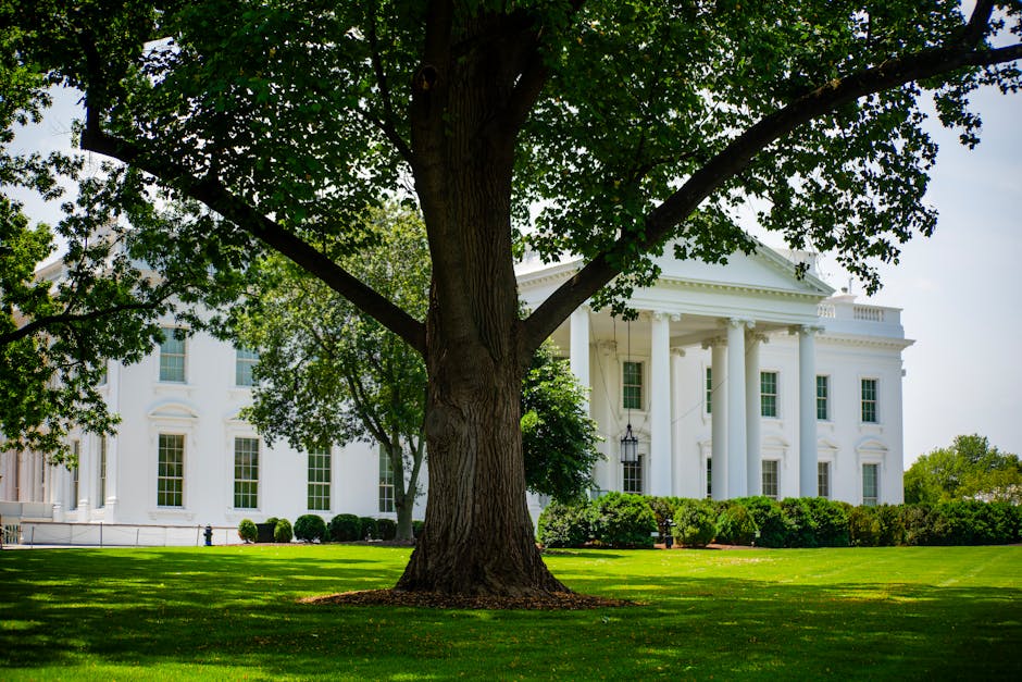 ‘Trust and confidence reposed’: Pakistan PM Shehbaz Sharif thanks Donald Trump for ceasefire extension – The Times of India: What You Need To Know